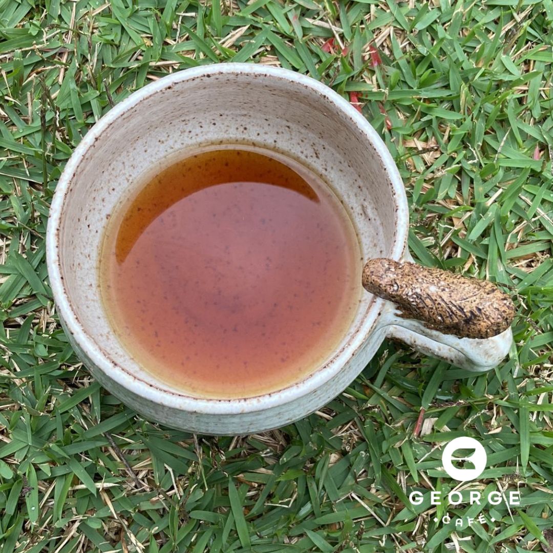 Caneca capivara meditando